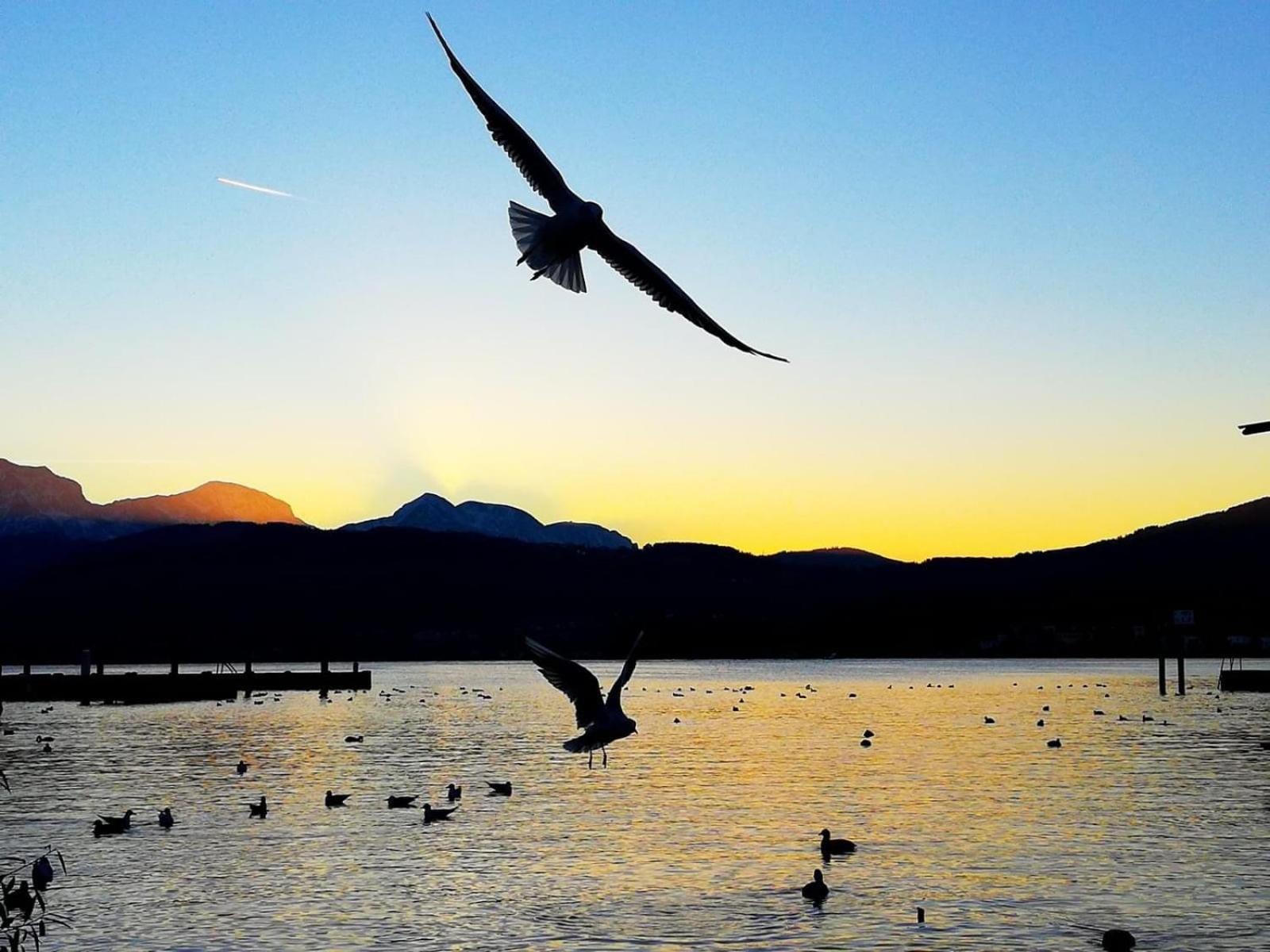 Seepanorama An Der Esplanade 1 Gmunden Zewnętrze zdjęcie