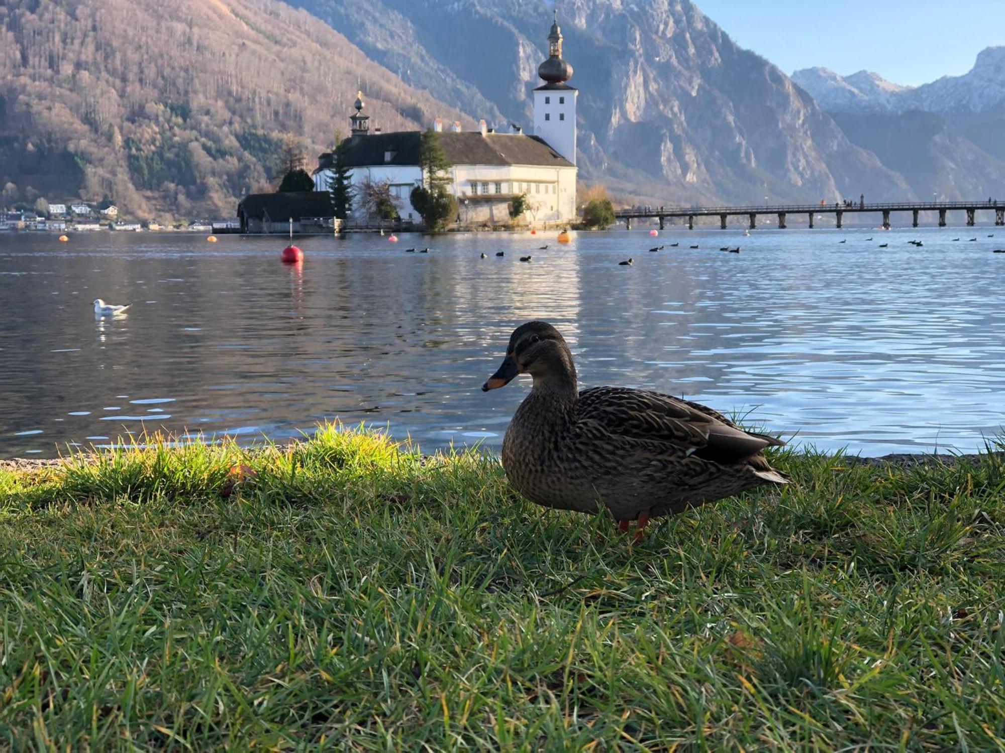 Seepanorama An Der Esplanade 1 Gmunden Zewnętrze zdjęcie