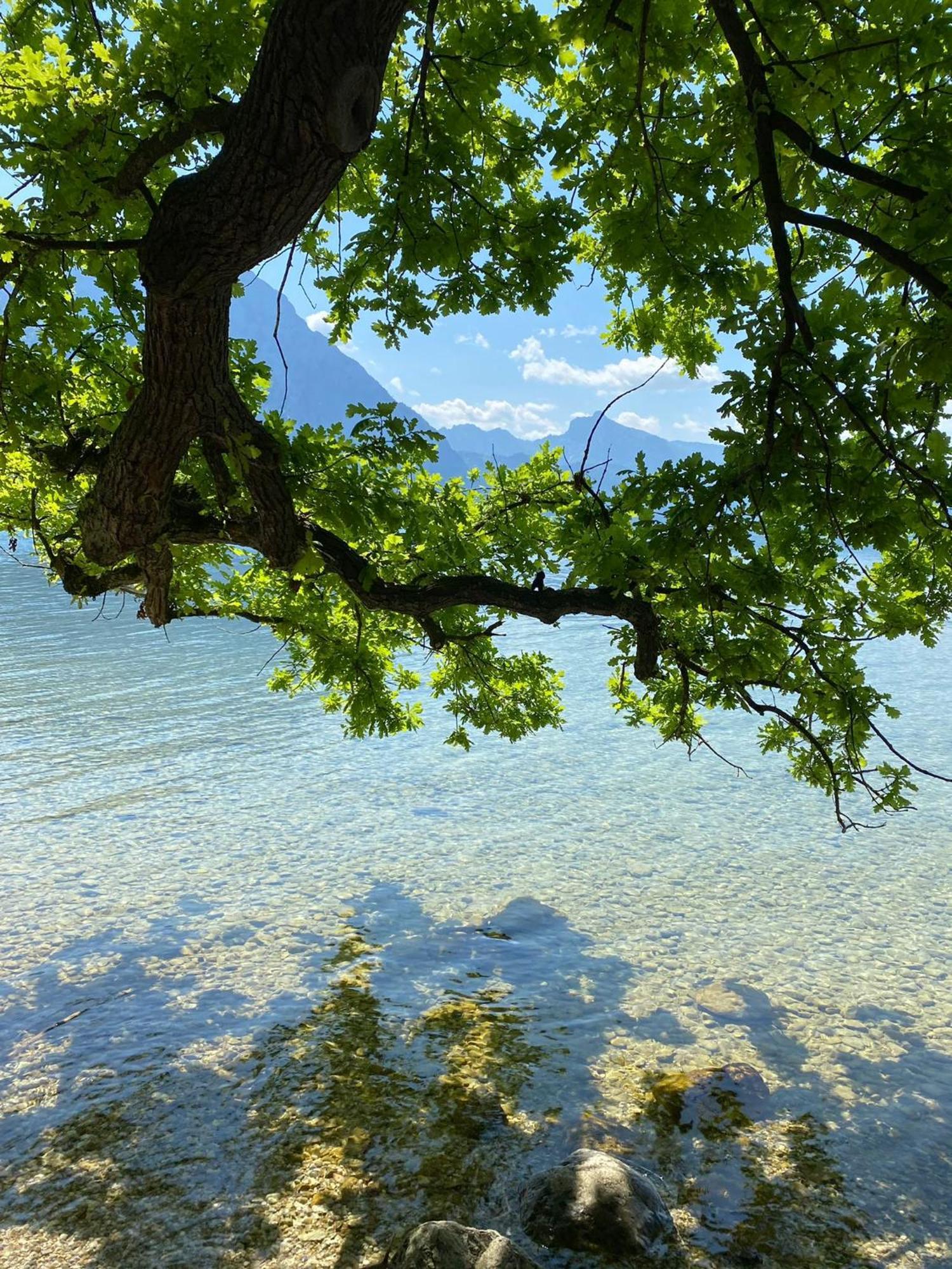 Seepanorama An Der Esplanade 1 Gmunden Zewnętrze zdjęcie